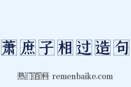 萧庶子相过造句是什么意思的图片